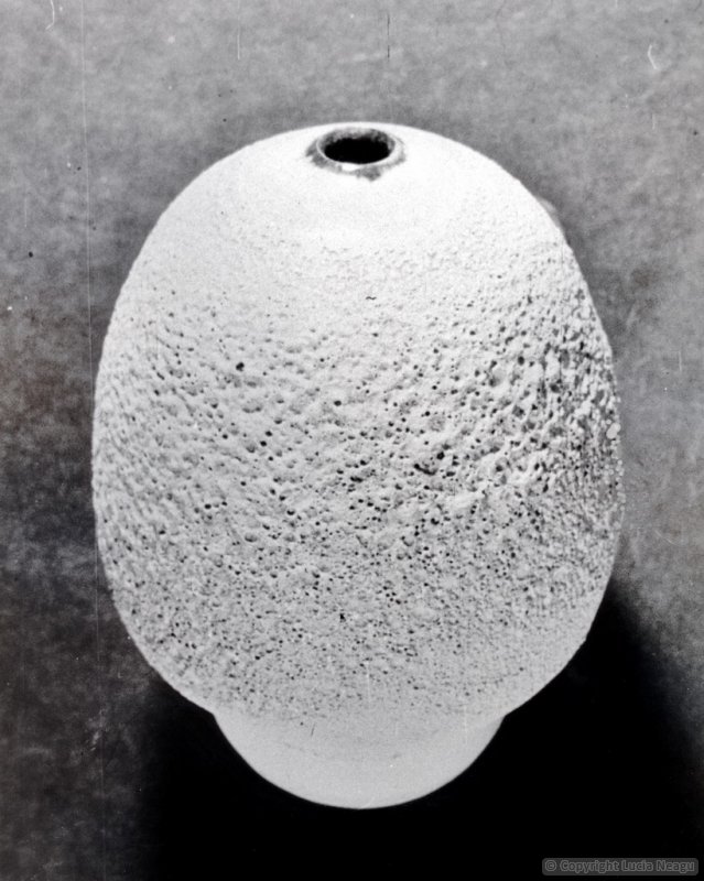 Egg shape vase